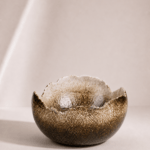 Vaas AN-055-1