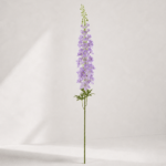 Delphinium 12 × 12 × 123 cm - Paars