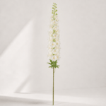 Delphinium 12 × 12 × 123 cm - Crème