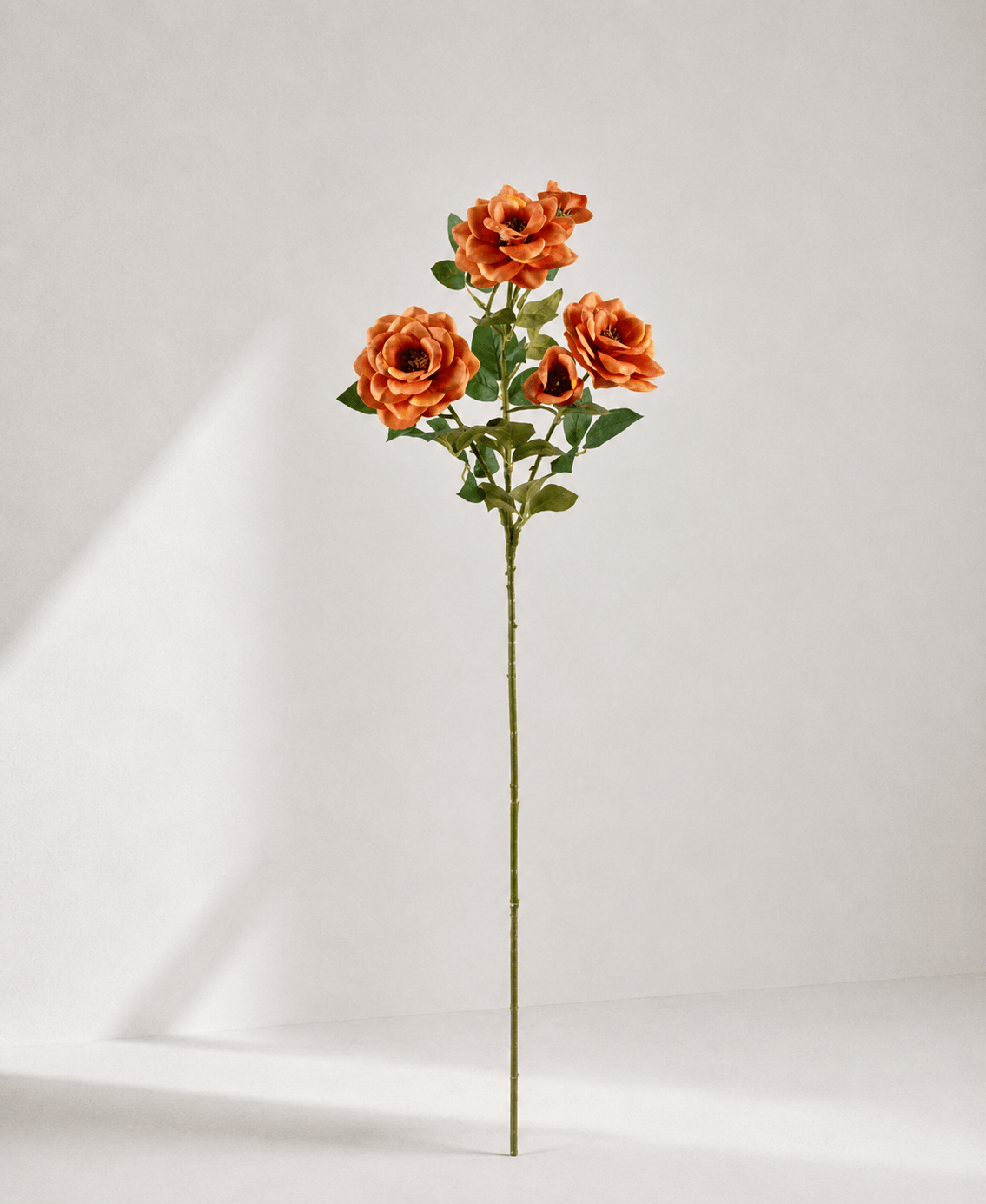 zijde-bloemen-f1-image57 Chinese Rose (real touch) 22 × 22 × 82 cm - Oranje - Afbeelding 1