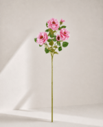 Chinese Rose (real touch) 22 × 22 × 82 cm - Lichtroze
