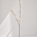 Pear Flower 15 × 15 × 113 cm - Wit
