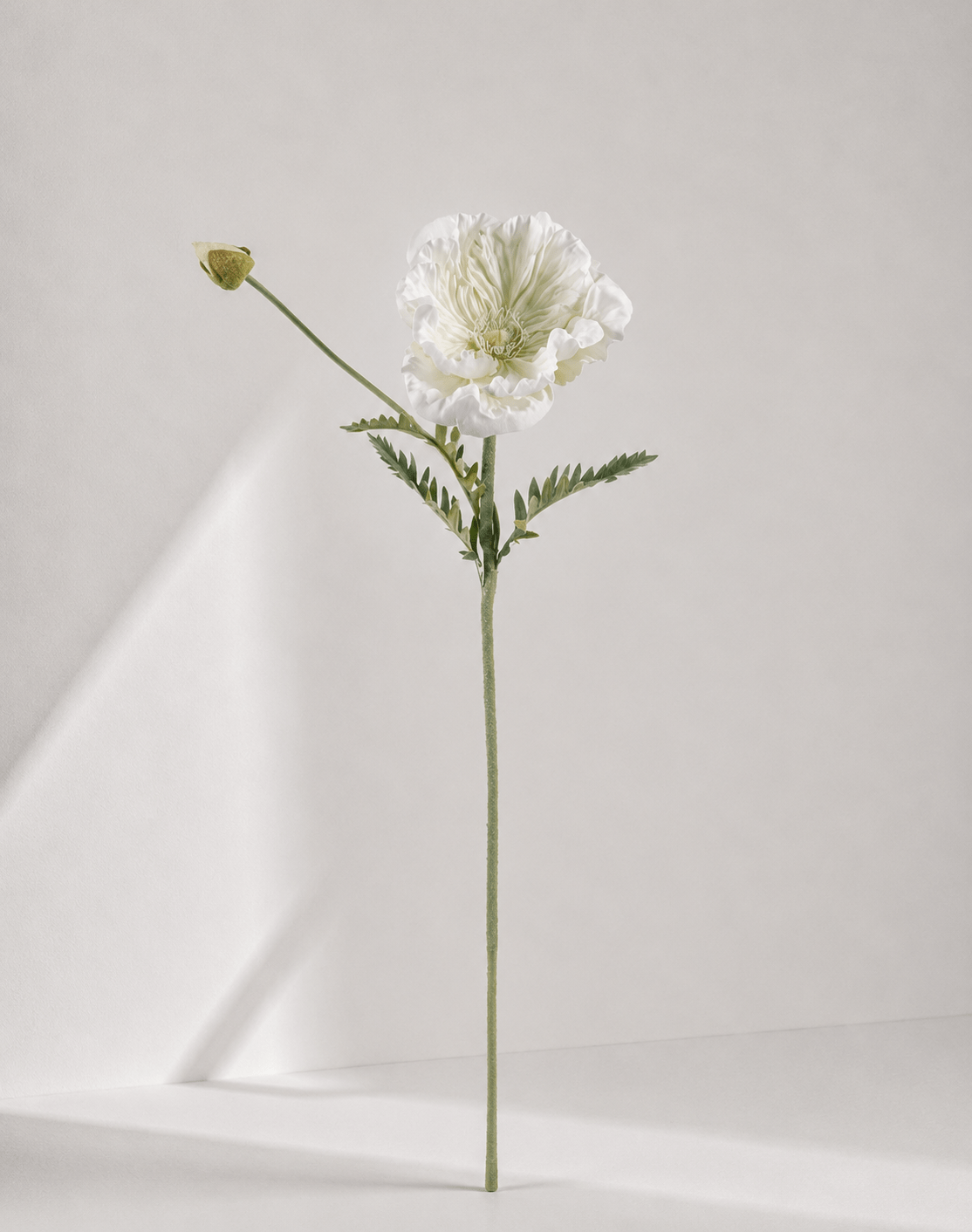 zijde-bloemen-f1-image47 Poppy 18 × 18 × 75 cm - Wit - Afbeelding 1