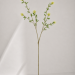 Spinulosum 40 × 40 × 96 cm - Wit-groen
