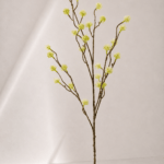 Fruit 15 × 15 × 103 cm - Groen