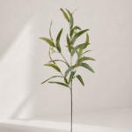 Eucalypt leaf 36 × 36 × 96 cm - Groen