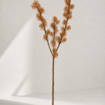 Pine needle 14 × 14 × 67 cm - Koffie