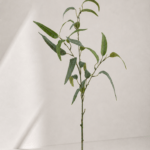Leaf 94 cm - Groen