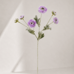 Japanese peony 20 × 20 × 67 cm - Paars