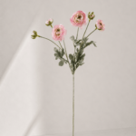 Japanese peony 20 × 20 × 67 cm - Lichtroze