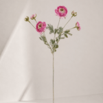 Japanese peony 20 × 20 × 67 cm - Roze