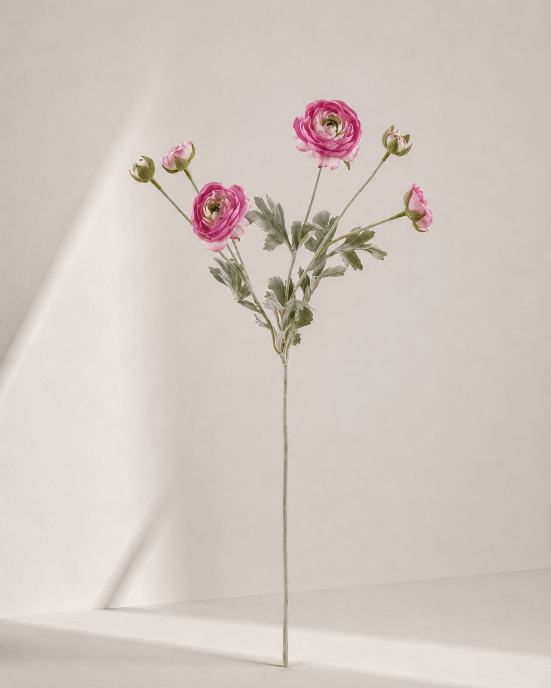 zijde-bloemen-f1-image19 Japanese peony 20 × 20 × 67 cm - Roze - Afbeelding 1