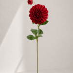 Dahlia 13 × 13 × 81 cm - Rood