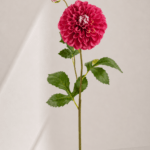 Dahlia 13 × 13 × 81 cm - Roze