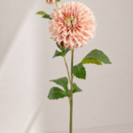 Dahlia 13 × 13 × 81 cm - Lichtroze