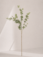 Eucalyptus 18 × 18 × 98 cm - Groen