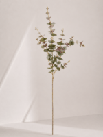 Eucalyptus 18 × 18 × 98 cm - Paars/groen