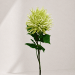 Chrysanthemum 78 × 11 cm - Groen