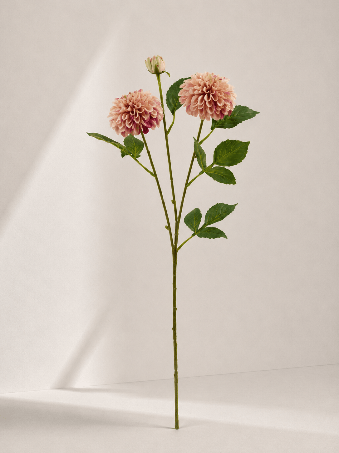 zijde-bloemen-f1-image5 Dahlia 23 × 23 × 76 cm - Paars - Afbeelding 1