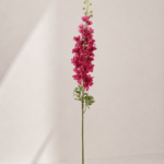 Delphinium 12 × 12 × 123 cm - Roze