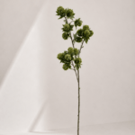 Eryngium 72 cm - Groen