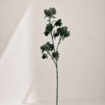Eryngium 72 cm - Blauw