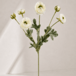 Japanese peony 20 × 20 × 67 cm - Crème