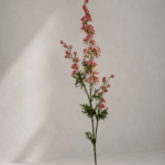 Larkspur 85 cm - Donkerroze
