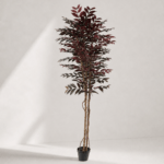 Burgundy Ficus tree 80*80*190cm