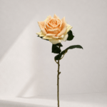 Reall touch rose 51 × 10 cm - Geel