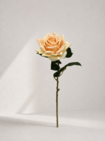 Reall touch rose 51 × 10 cm - Geel