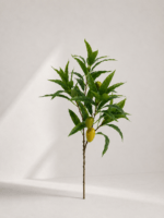 Mango tak 55L3F 105 × 35 cm - Geel