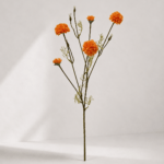 Chrysanthemum 81 × 20 cm - Oranje