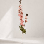 Delphinium 85 × 13 cm - Roze