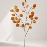 Eucalptus 92 × 35 cm - Oranje