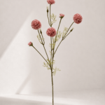 Chrysanthemum 81 × 20 cm - Lichtroze