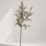 Branch 95 × 25 cm - Rood/groen