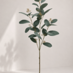 Eucalptus 68 cm - Groen