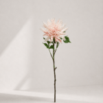 Chrysanthemum 78 × 11 cm - Roze