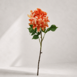 Chrysanthemum 78 × 11 cm - Oranje