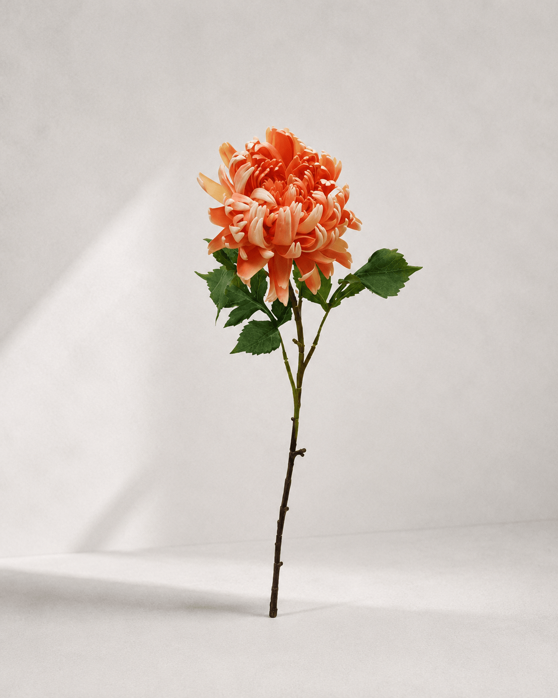 zijde-bloemen-f2-image12 Chrysanthemum 78 × 11 cm - Oranje - Afbeelding 1