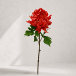 Chrysanthemum 78 × 11 cm - Rood