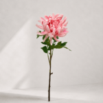 Chrysanthemum 78 × 11 cm - Roze