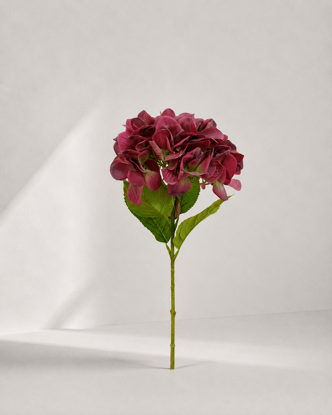zijde-bloemen-f2-image4 Real touch Hydrangea 47 × 16 cm - Rood - Afbeelding 1