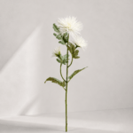 Real touch Chrysanthemum 70 × 15 cm - Wit