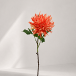 Chrysanthemum 78 × 11 cm - Oranje