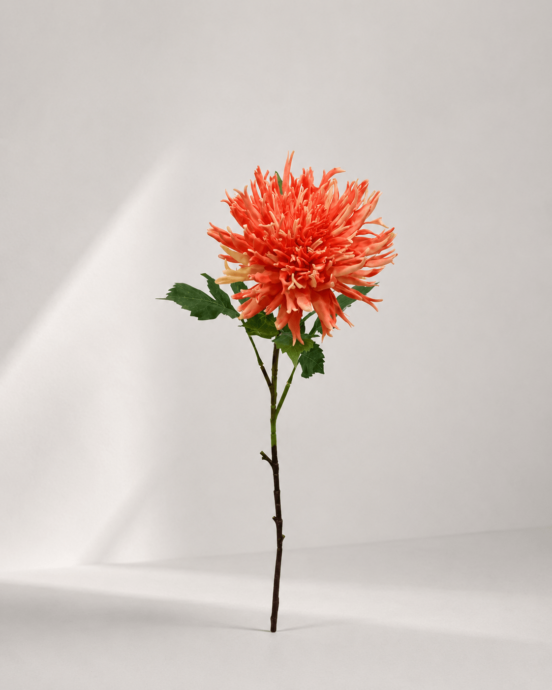 zijde-bloemen-f2-image9 Chrysanthemum 78 × 11 cm - Oranje - Afbeelding 1
