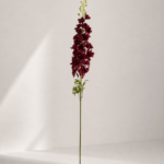 Delphinium 12 × 12 × 123 cm - Donkerrood