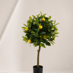 Lemon tree pot/13 fruit 38*38*90cm
