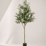 Olive Tree 68*50*180cm